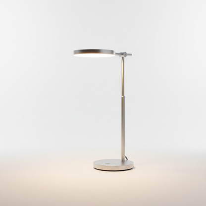 LED Desk Lamp